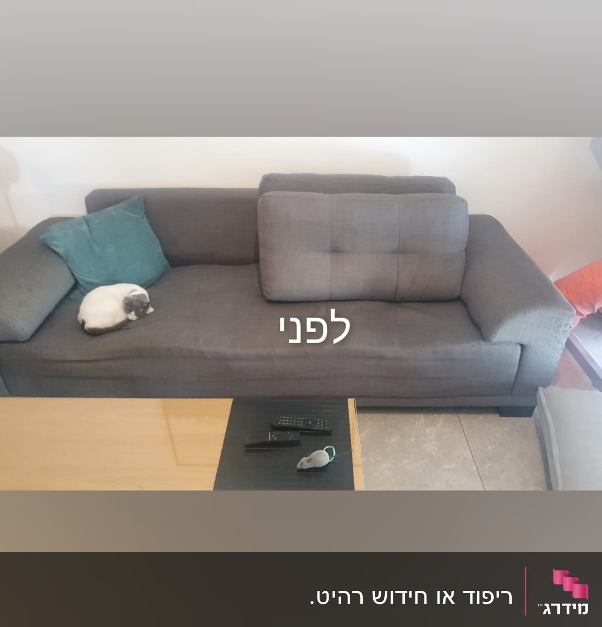 ספה אפורה עם כרית ירוקה וחתול ישן